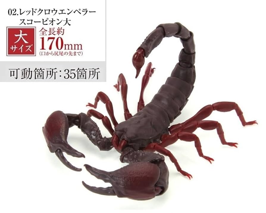 Amazon | いきもの大図鑑 サソリ レッドクロウエンペラー